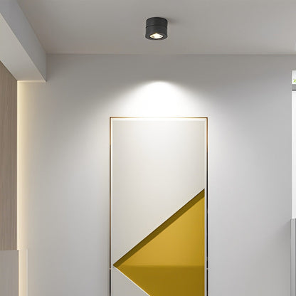 Floroux - Applique de plafond LED élégante et réglable au design nordique