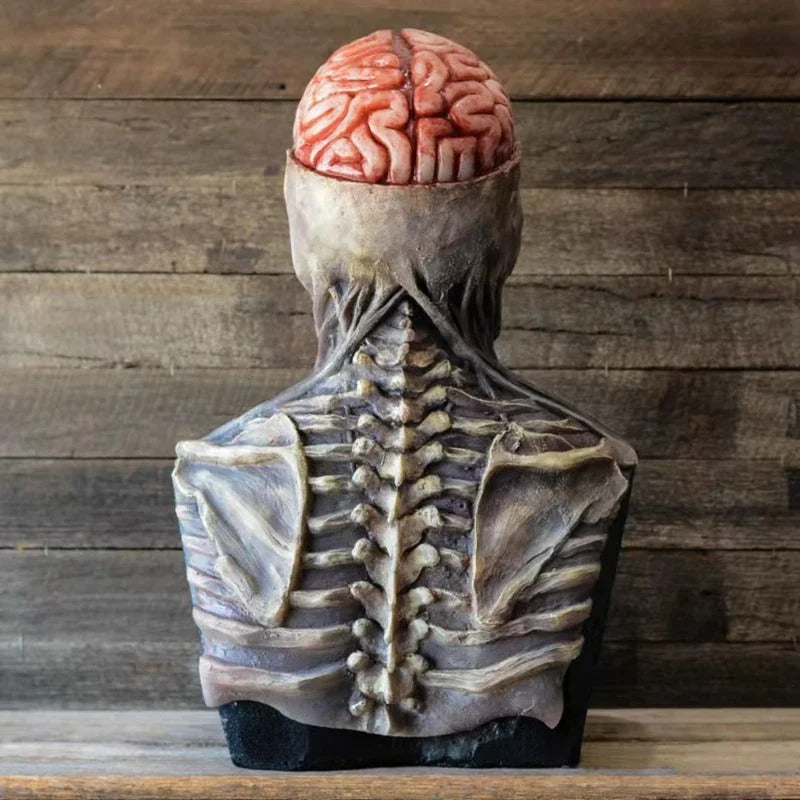 Costume de squelette Halloween ultra-réaliste