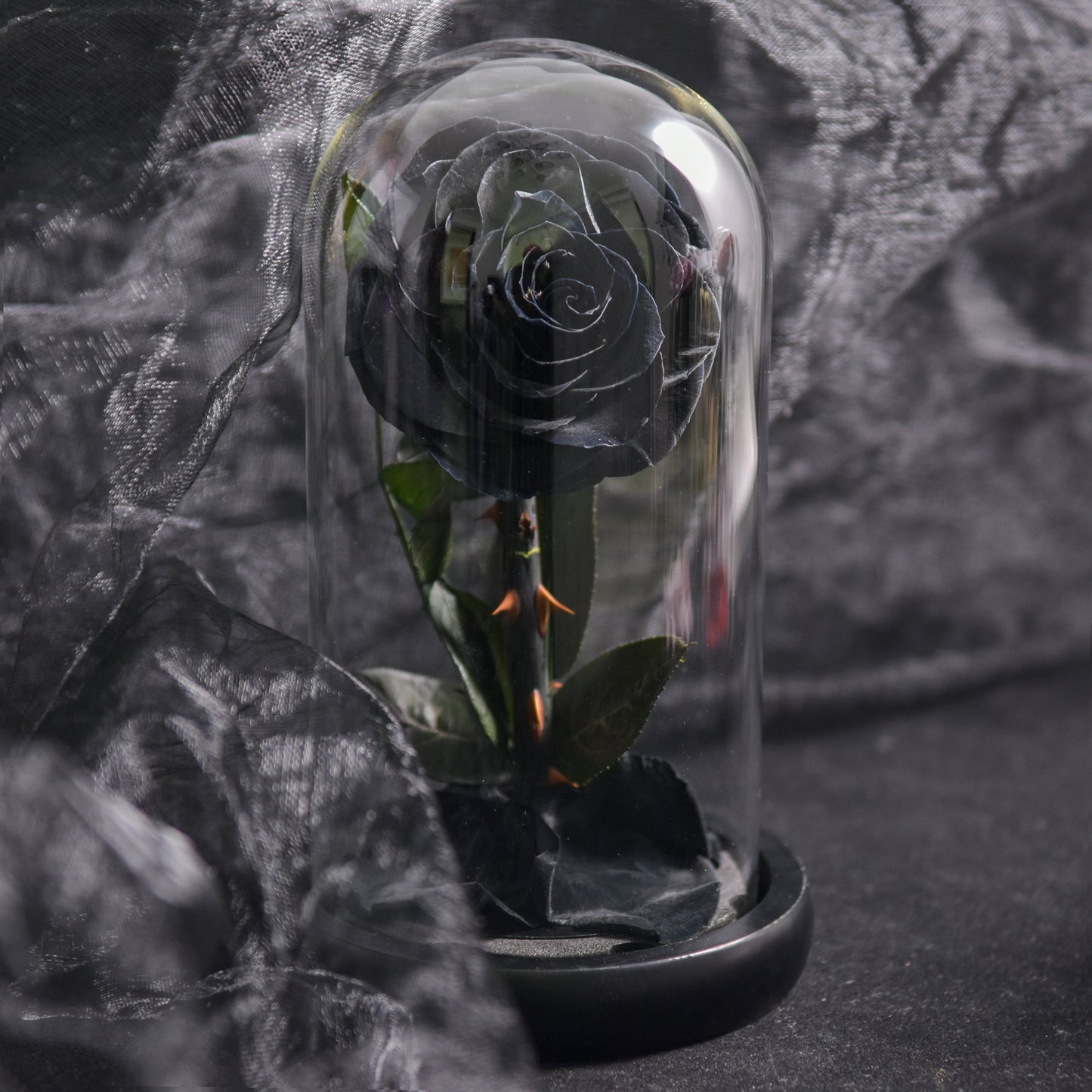 Floroux Eternal Rose in a Glass Dome | Timeless Decorative Rose | Elegant Gift for Any Occasion