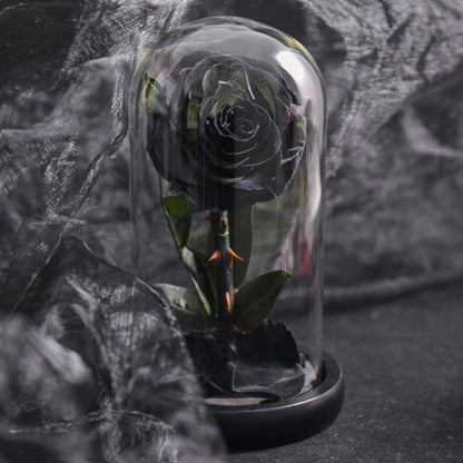 Floroux Eternal Rose in a Glass Dome | Timeless Decorative Rose | Elegant Gift for Any Occasion
