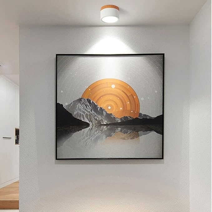 Floroux Cylindre LED Plafonniers pour Couloirs