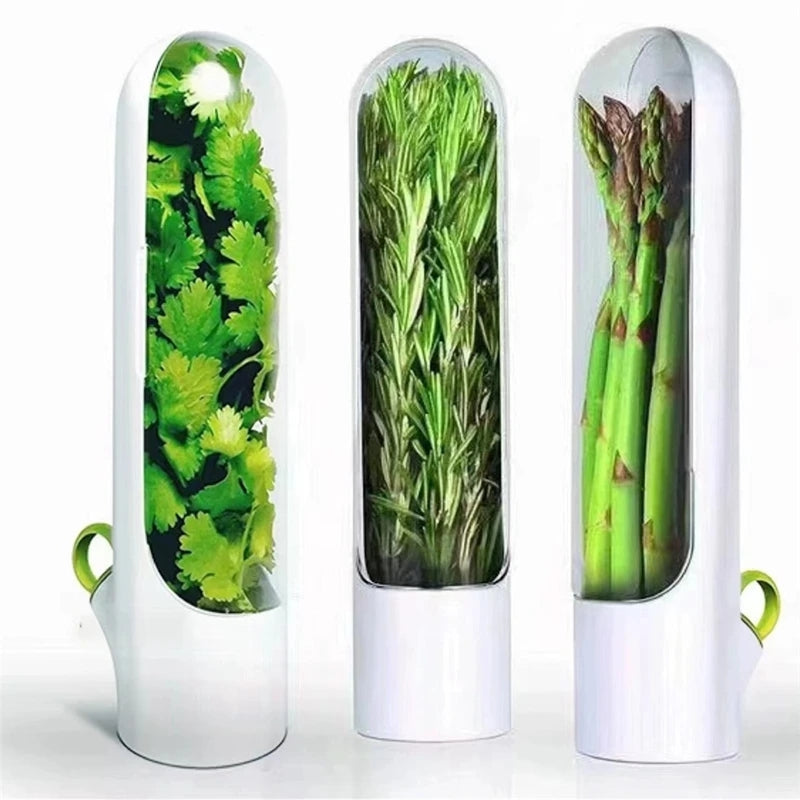 Préservateur d'herbes fraîches BlackNov