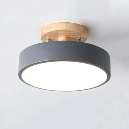 Floroux - Lampe de plafond LED moderne et élégante pour un éclairage intelligent