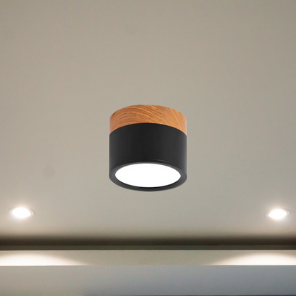 Floroux - Éclairage de plafond LED élégant pour couloirs modernes au design minimaliste