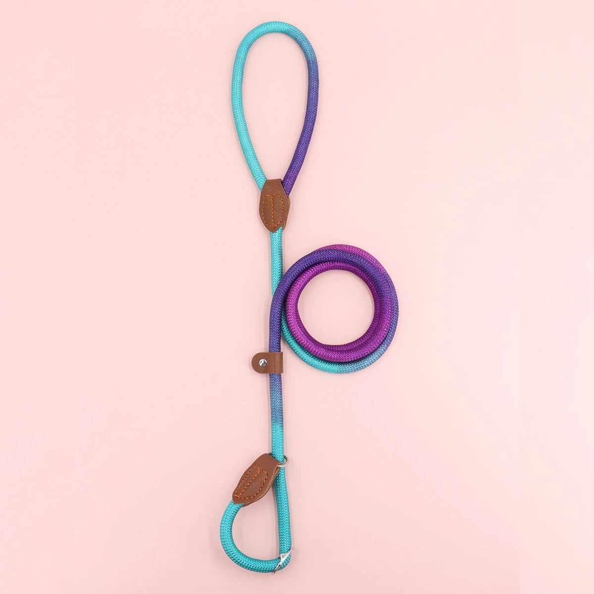 Clémentine Laisse – Couleur Chien Lien pour Promenades Élégantes