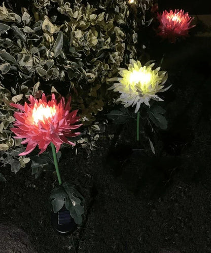 Éclairage LED de jardin Floroux avec énergie solaire