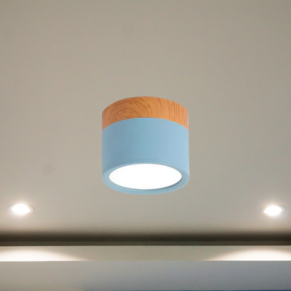 Floroux - Luminaire LED de plafond élégant pour couloirs modernes au design minimaliste