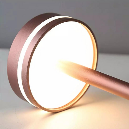 Lumière de rayonnement sans fil portable