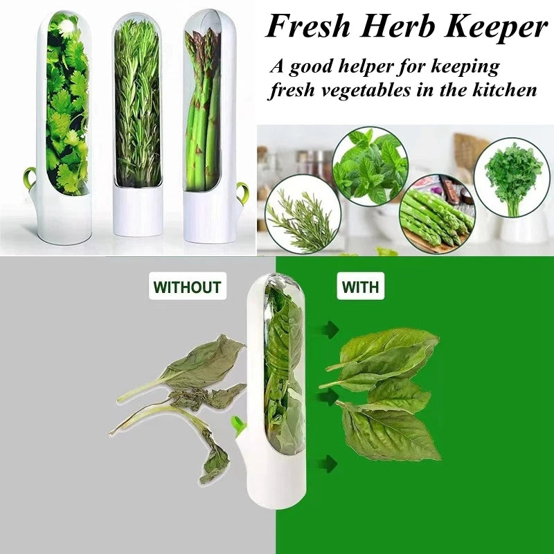Préservateur d'herbes fraîches BlackNov