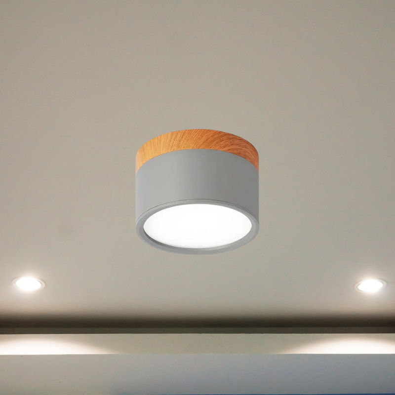 Floroux - Éclairage de plafond LED élégant pour couloirs modernes au design minimaliste