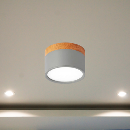 Floroux - Éclairage de plafond LED élégant pour couloirs modernes au design minimaliste