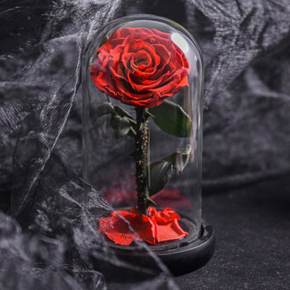 Floroux Eternal Rose in a Glass Dome | Timeless Decorative Rose | Elegant Gift for Any Occasion
