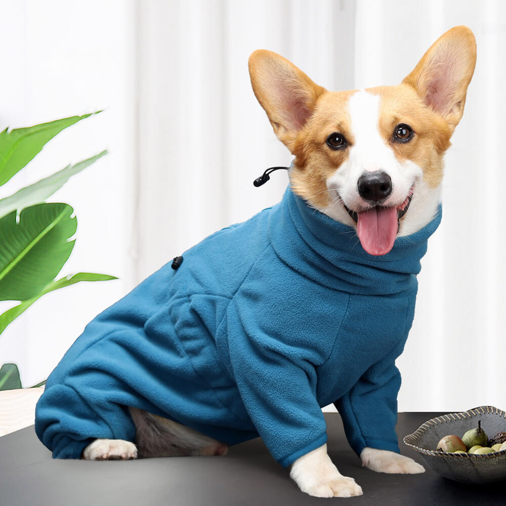 Costume en polaire pour chien – Chaleur confortable et complète pour tout le corps par temps froid