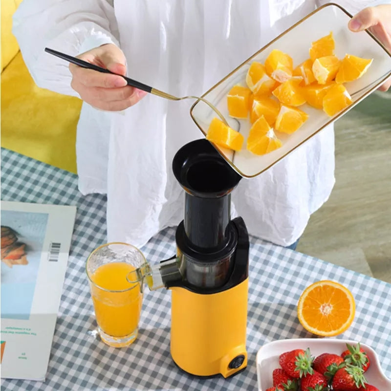 Extracteur de jus lent Blender