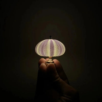 Floroux DIY Bear Sea Night Lamp | Creative LED Ambient Light | Perfect Home Decoration