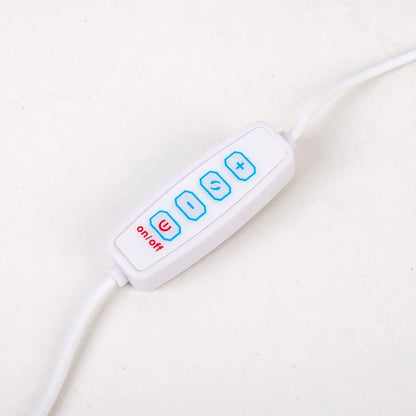 AuraStone | Lampe de table apaisante en améthyste naturelle