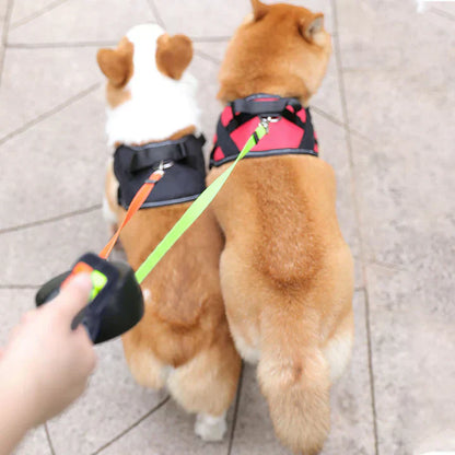 DuoPaw - Laisse à chien rétractable pratique avec système sans nœud