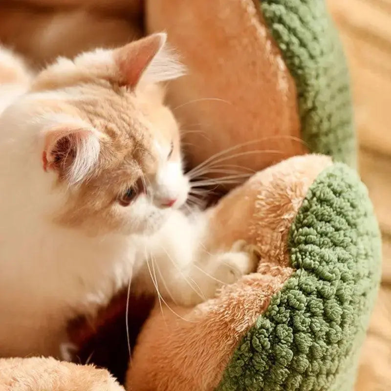 Cozypets – Panier pour animaux en cactus – Confort de sommeil ultime