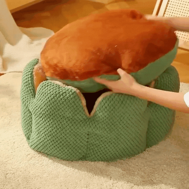 Cozypets – Panier cactus – Confort de sommeil ultime