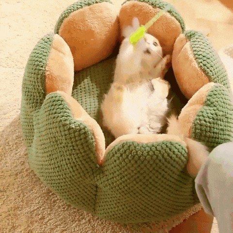 Cozypets – Panier cactus – Confort de sommeil ultime