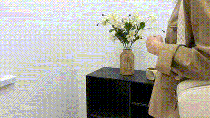 CarrieBag – Sac Messenger Moderne et Élégant