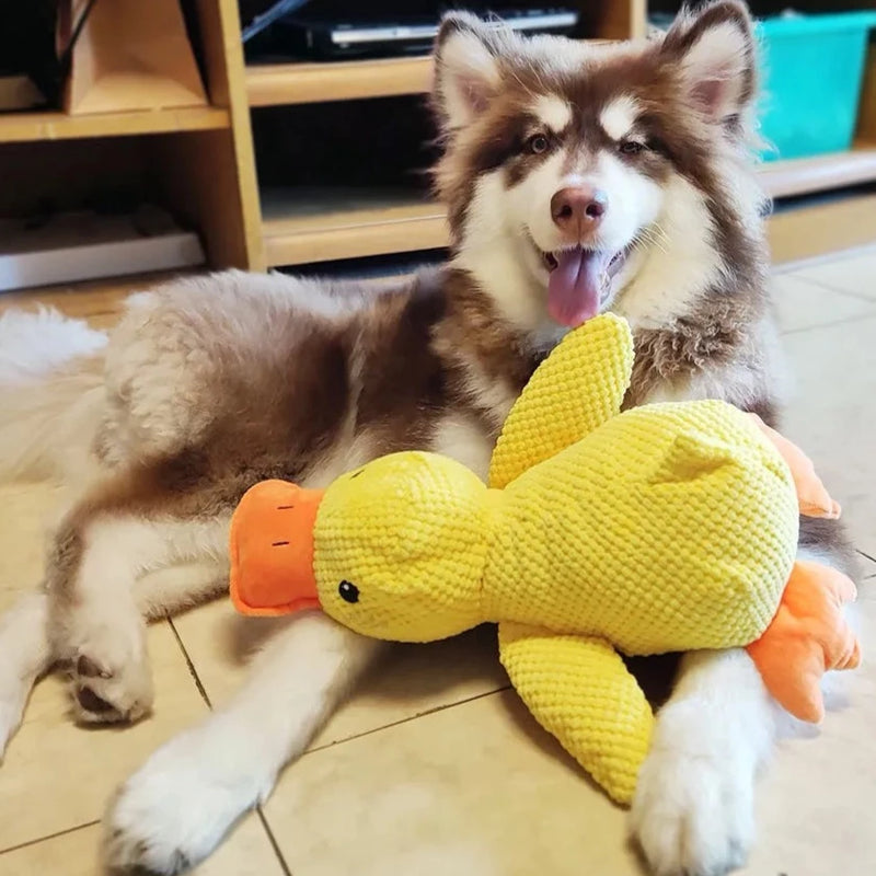 Floroux Calming Duck for Dogs | Stress Relief | Scented Toy | Canine Well-being
