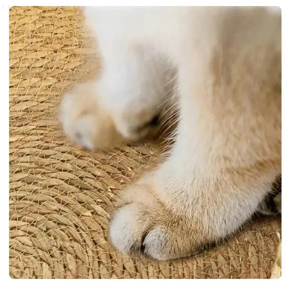 Cozypets – Lit pour chat super doux et confortable