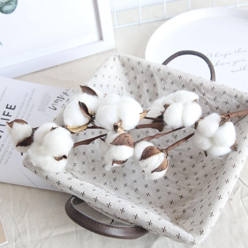 Floroux branches en coton | Décoration naturelle | Parfait pour les vases | Élégance intemporelle