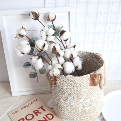 Floroux branches en coton | Décoration naturelle | Parfait pour les vases | Élégance intemporelle