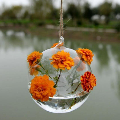 Floroux Hanging Glass Terrarium Vase | Decorative Glass Ball | Plant Container for Home & Office