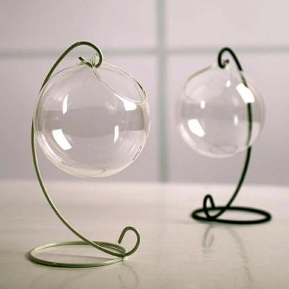 Floroux Hanging Glass Terrarium Vase | Decorative Glass Ball | Plant Container for Home & Office