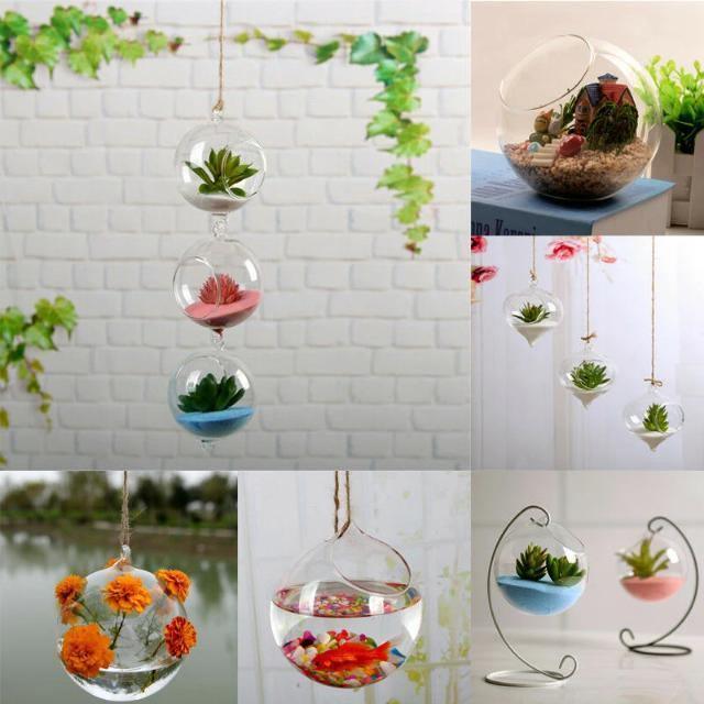 Floroux Hanging Glass Terrarium Vase | Decorative Glass Ball | Plant Container for Home & Office
