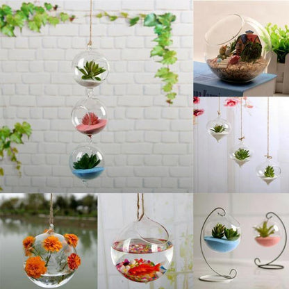 Floroux Hanging Glass Terrarium Vase | Decorative Glass Ball | Plant Container for Home & Office