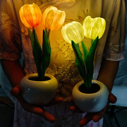 Floroux LED Night Table Lamp | Creative Flower Design | Tulip & Peony | Ambient Light