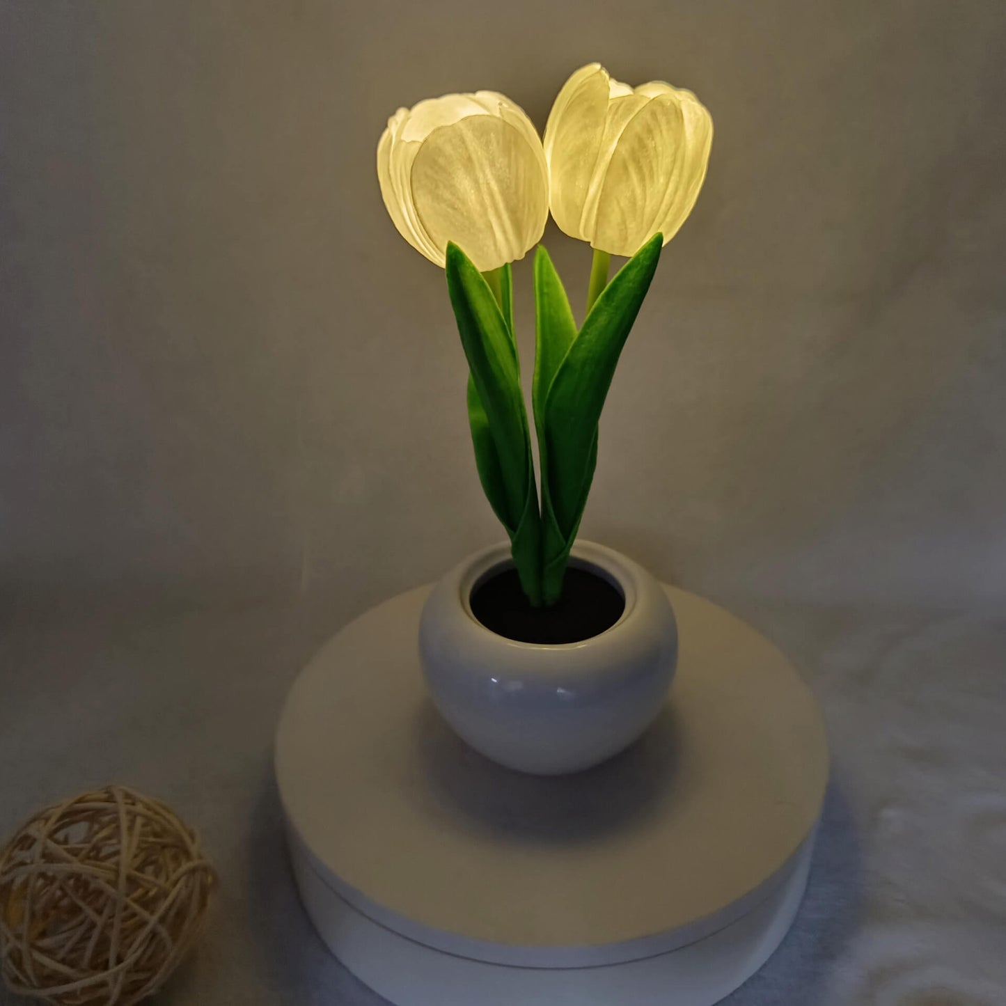 Floroux LED Night Table Lamp | Creative Flower Design | Tulip & Peony | Ambient Light