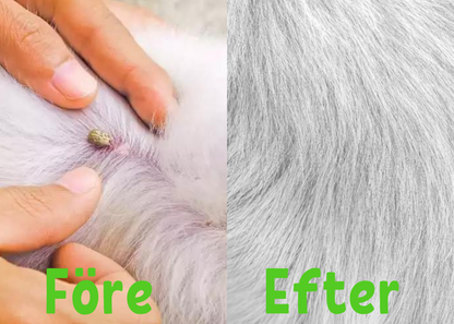 FleaShield Collier – Protection contre les puces et les tiques