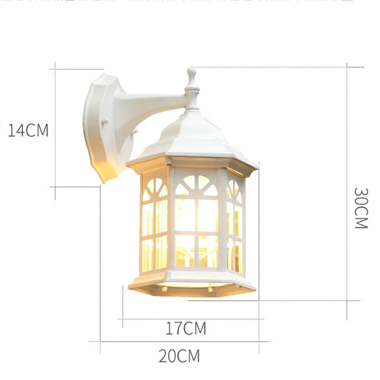 Floroux - Luminescence européenne
