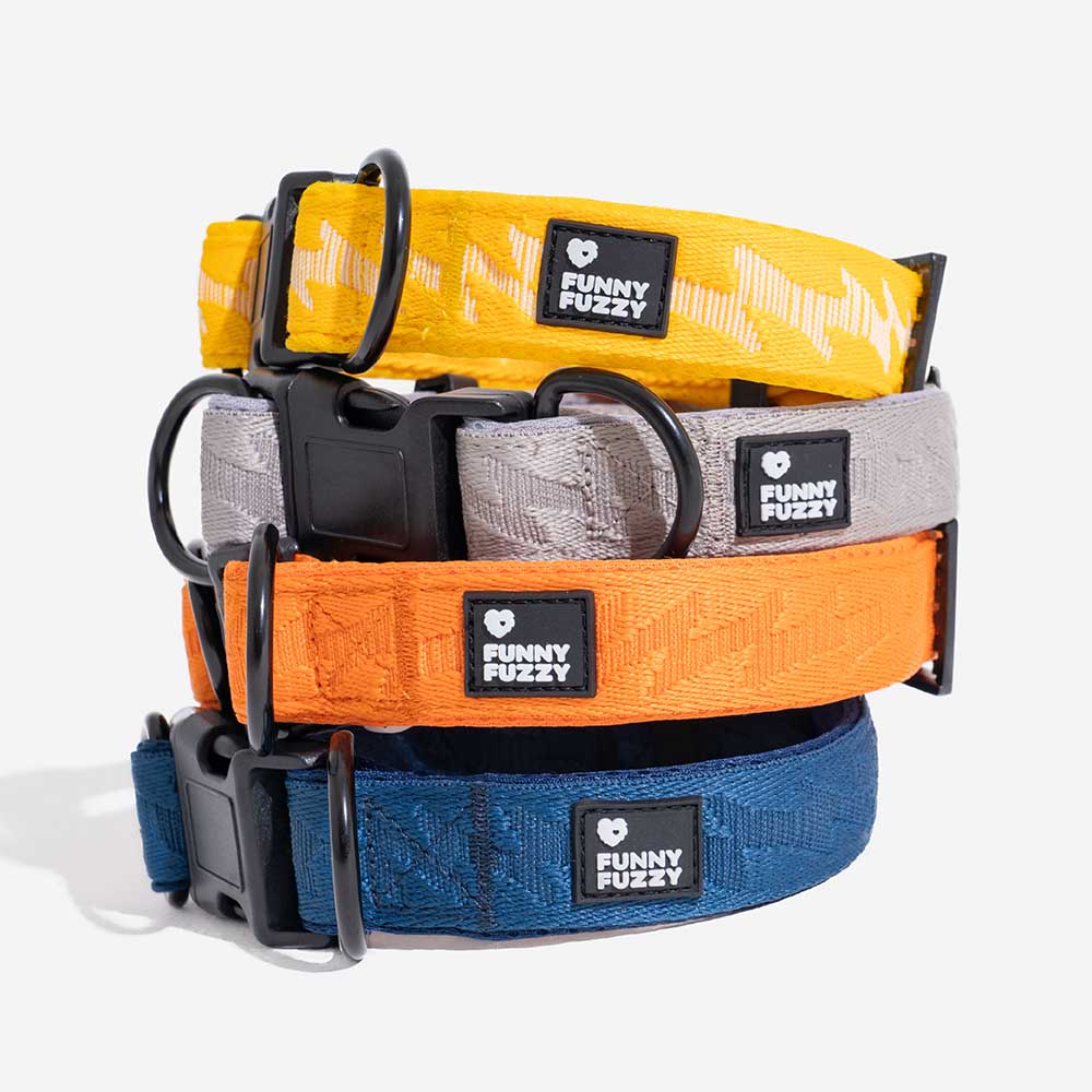 Collier pour chien durable en nylon ajustable Floroux - Flexi Walker