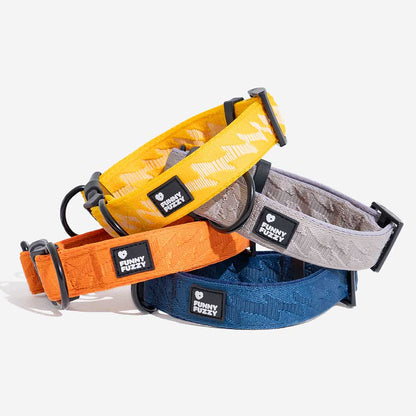 Collier pour chien durable en nylon ajustable Floroux - Flexi Walker