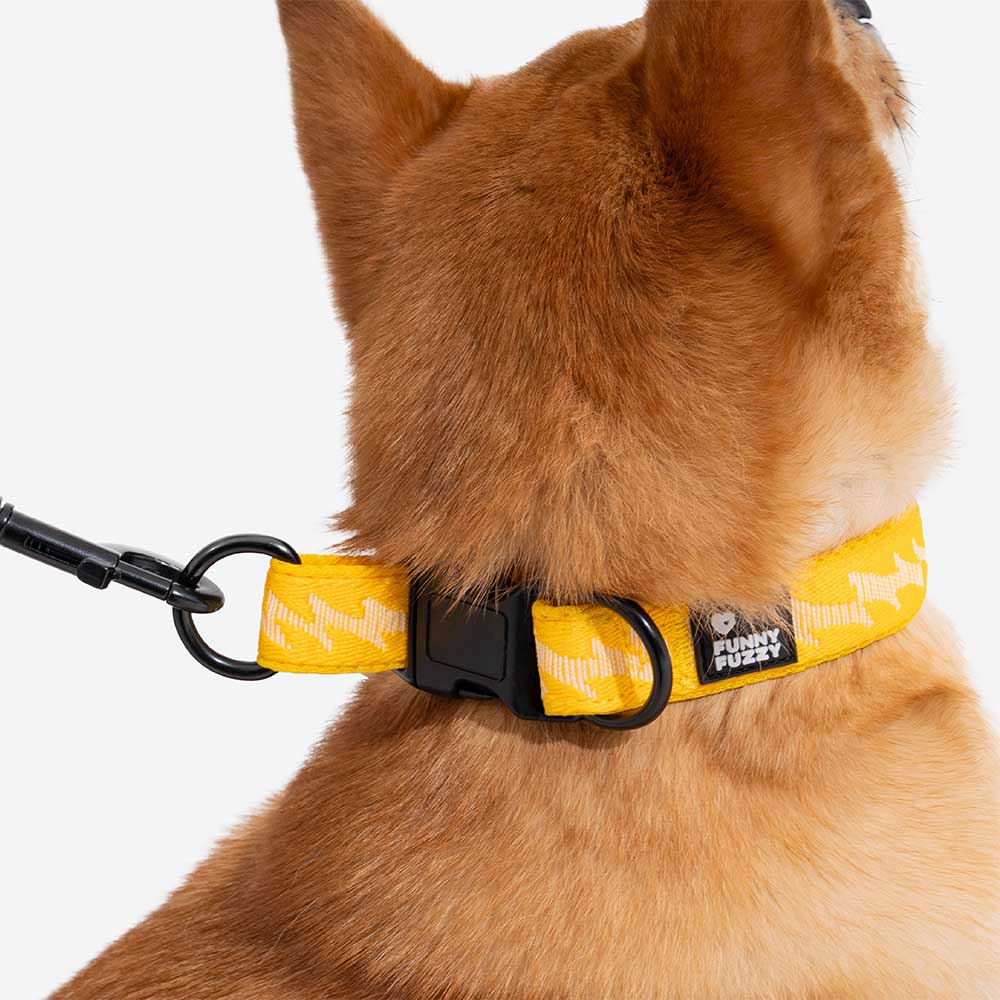 Collier pour chien durable en nylon ajustable Floroux - Flexi Walker