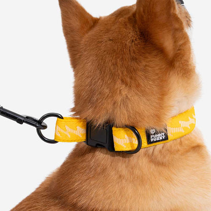 Collier pour chien durable en nylon ajustable Floroux - Flexi Walker