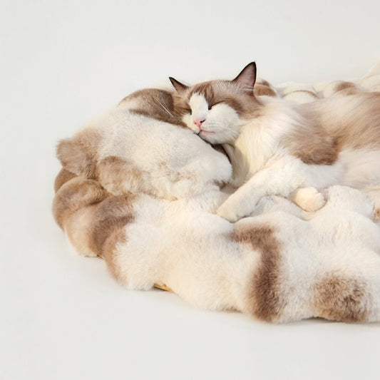 Tapis rond pour chien et chat en fausse fourrure avec oreiller