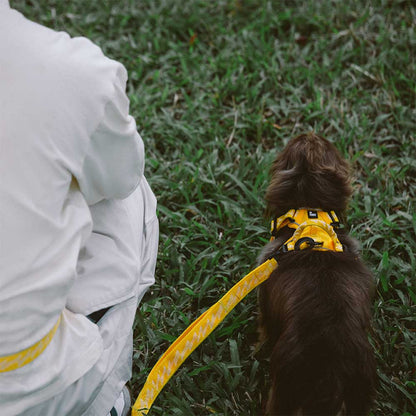 Floroux Harnais d'extérieur réglable et réfléchissant pour chien - Flexi Walker