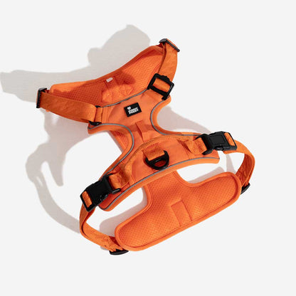 Floroux Harnais d'extérieur réglable et réfléchissant pour chien - Flexi Walker