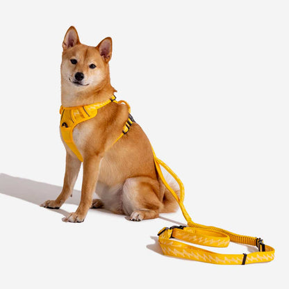 Floroux Harnais d'extérieur réglable et réfléchissant pour chien - Flexi Walker