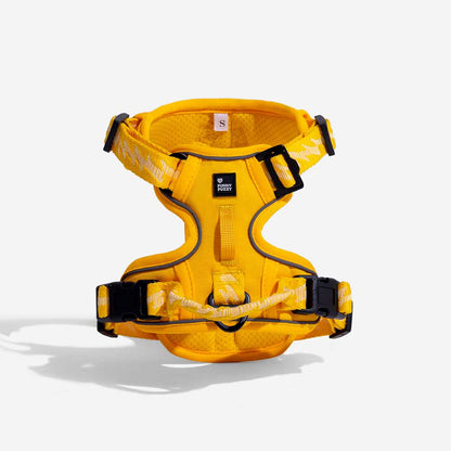 Floroux Harnais d'extérieur réglable et réfléchissant pour chien - Flexi Walker