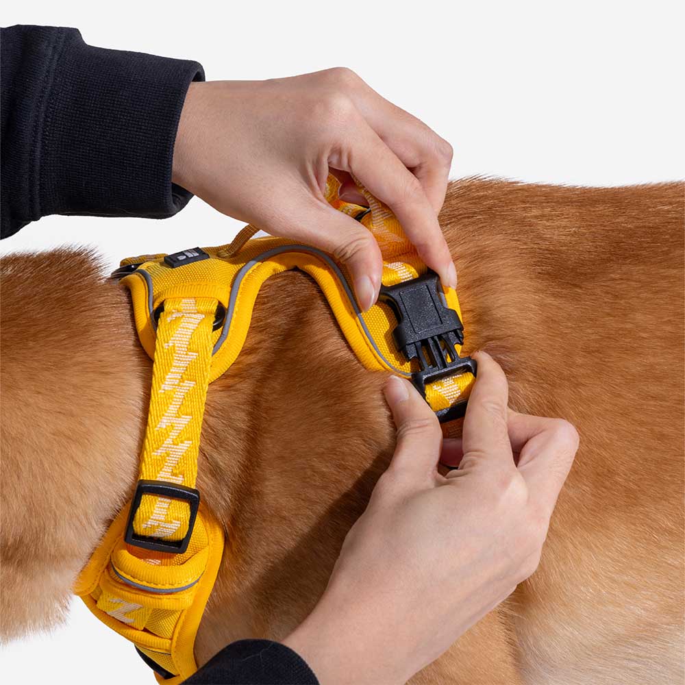 Floroux Harnais d'extérieur réglable et réfléchissant pour chien - Flexi Walker