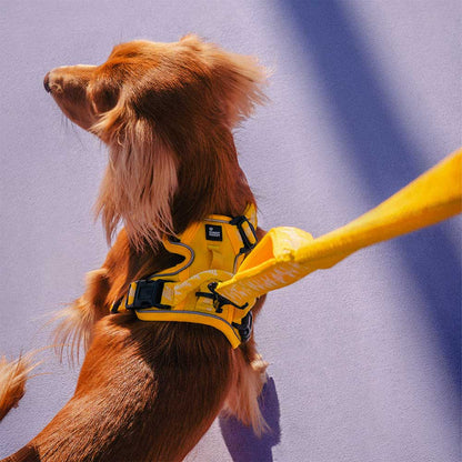 Floroux Harnais d'extérieur réglable et réfléchissant pour chien - Flexi Walker