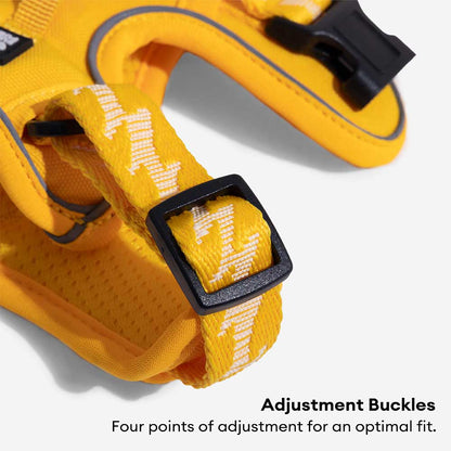 Floroux Harnais d'extérieur réglable et réfléchissant pour chien - Flexi Walker