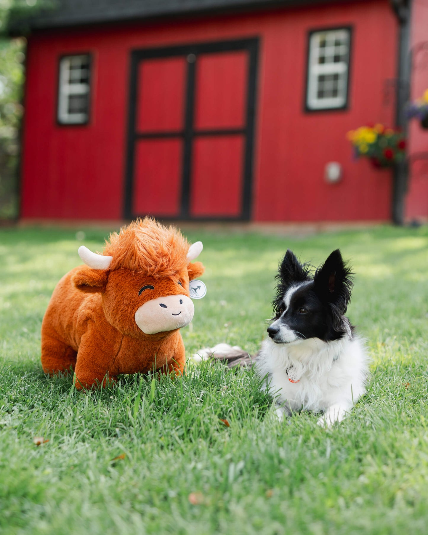 Floroux - Surdimensionné et confortable vache Hoogland pour tous les groupes d'âge